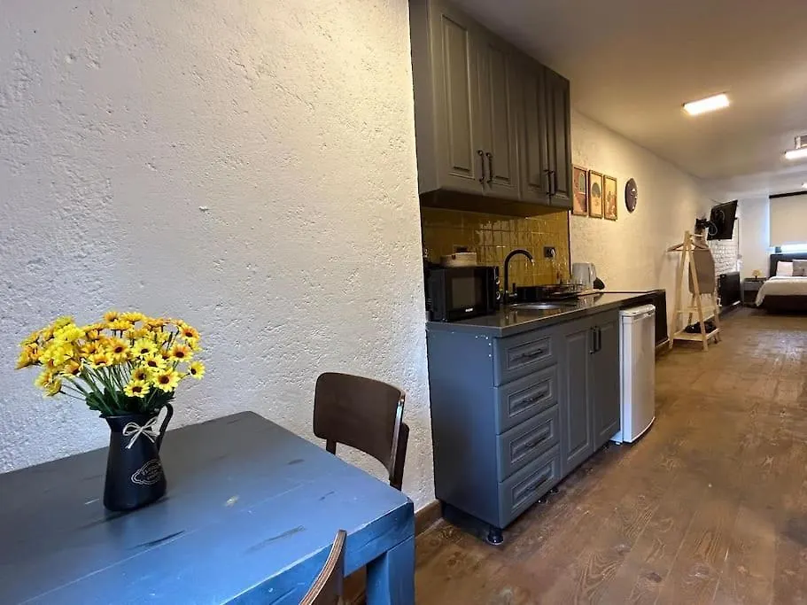 Casa Mirasol Terrace Golden Horn Istanbul Apartment